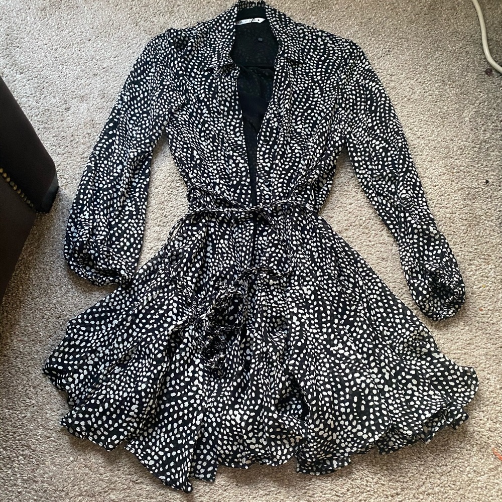 Zara dress